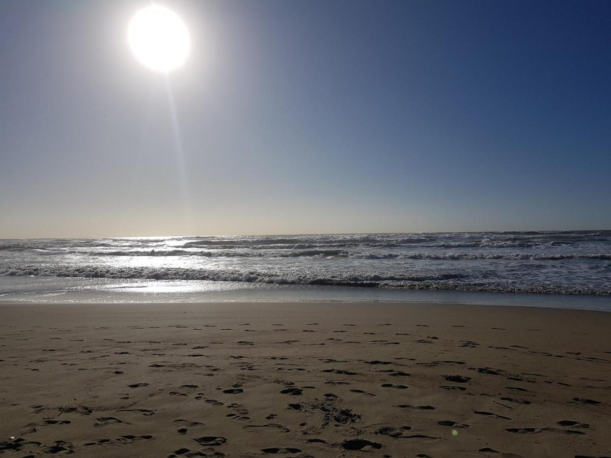 Villa Rimini - Seaview & Roman Holidays Apartments - Garden&Beach 300Mt อันซีโอ ภายนอก รูปภาพ